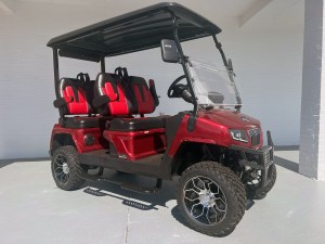 Tidewater Carts - New, Used and Custom Golf Carts